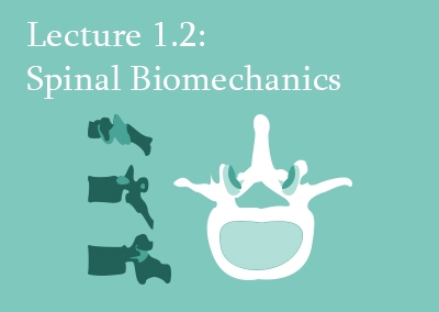 1.2 Spinal Biomechanics