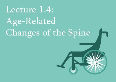 1.4 Age-Related Changes of the Spine