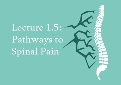 1.5 Pathways to Spinal Pain