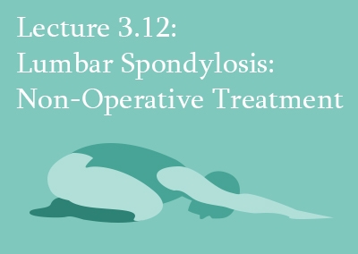 3.12 Non-Operative Treatment of Lumbar Spondylosis
