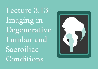 3.13 Imaging in Degenerative Lumbar and Sacroiliac Conditions