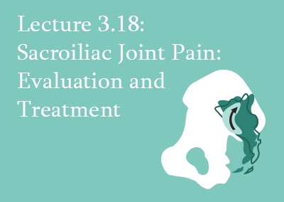 3.18 Sacroiliac Joint Pain: Evaluation and Treatment