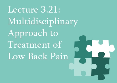 3.21 Multidisciplinary Approaches to Treatment of Low Back Pain