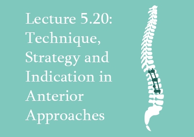 5.20 Technique, Strategy and Indication in Anterior Approaches