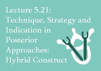 5.21 Technique, Strategy and Indication in Posterior Approaches: Hybrid Construct