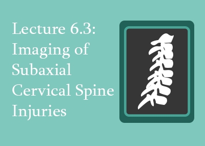 6.3 Imaging of Subaxial Cervical Spine Injuries