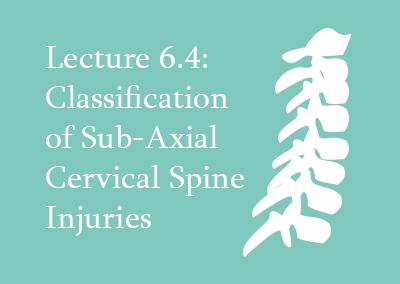 6.4 Classification of Sub-Axial Cervical Spine Injuries
