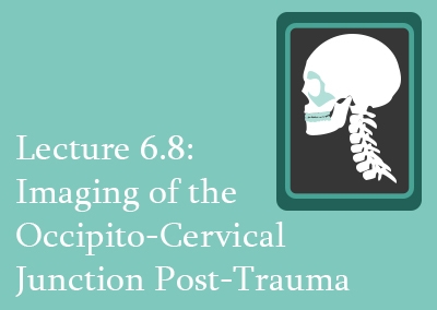 6.8 Imaging of the Occipito-Cervical Junction Post-Trauma