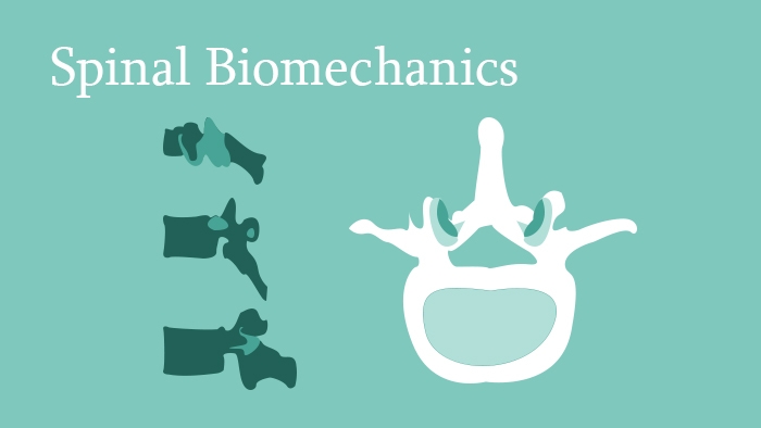 Spinal Biomechanics - Spine Surgery Lecture - eccElearning