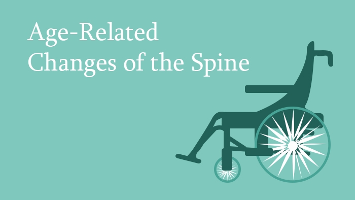 Age-related changes of the spine lecture thumbnail