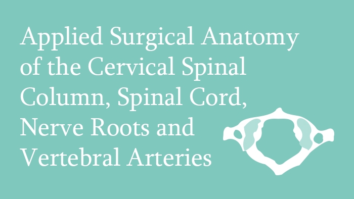 Surgical Anatomy of the Cervical Spine - Lecture Thumbnail