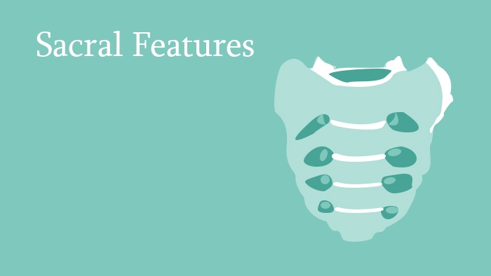 Sacral Fractures Lecture Thumbnail