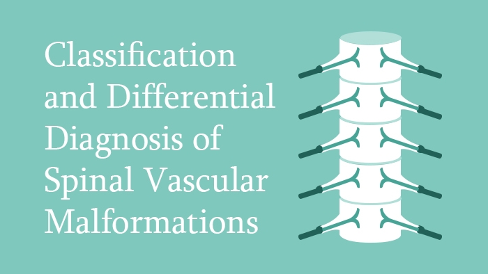 Classification and Differential Diagnosis of Spinal Vascular Malformations Module Thumbnail