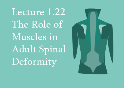 1.22 The Role of Muscles in Adult Spinal Deformity