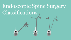 10.2 Endoscopic Spine Surgery Classifications