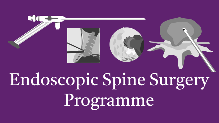 Endoscopic Spine Surgery Programme image - an online course in spine endoscopy